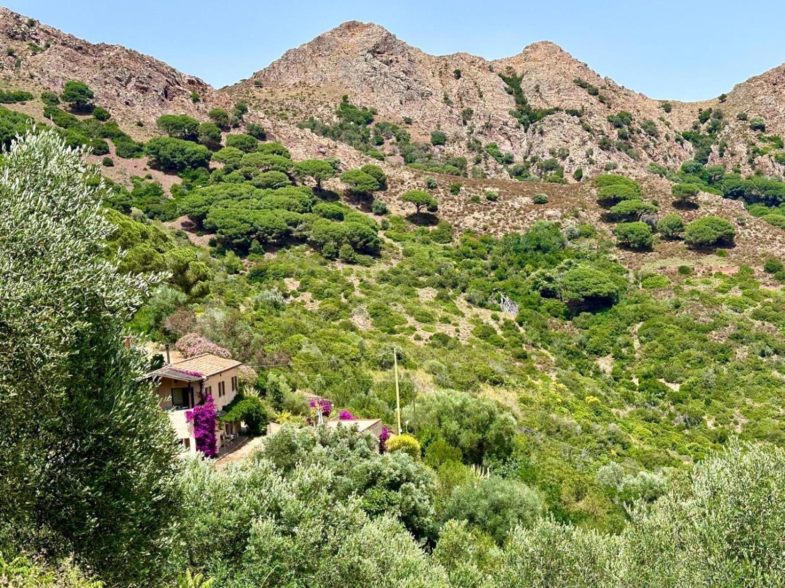 Апартаменти Aria Di Collina - Isola D'Elba Порто-Аццурро Екстер'єр фото